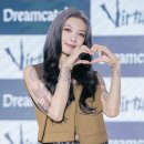 다미스토리 이미지