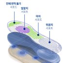 에이치엠하이브