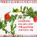 나드리옷수선 이미지
