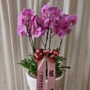 현대그린모터스 이미지