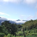 하동산수애