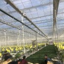 춘양농장 이미지