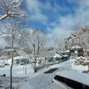 숲앤숲펜션 이미지