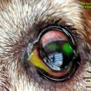 강앤정 동물병원 이미지