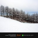 명암목장 이미지