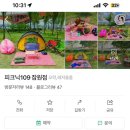 피크닉109 이미지