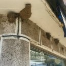 동철원농협문혜지점 이미지