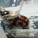 디저트블랑(dessert blanc) 이미지