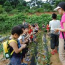 남성 초등학교 병설 유치원 이미지