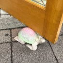 디디딥 이미지