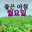지당 Daum카페