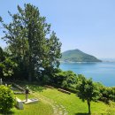 나무이야기 이미지