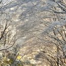 바다소식 이미지