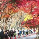 진성컴인 이미지