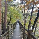 마천루 | 🏞️ 두타산 베틀바위-협곡 마천루 산행 후기