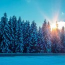 경희해한의원 이미지