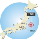 강진-40 세계일보