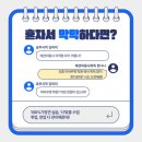 혁신애견미용 이미지