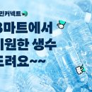 청년들