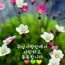 강북로 네이버블로그