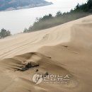 우이도 풍성사구(모래언덕) 이미지