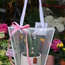 용봉프라자약국 이미지