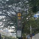 태수척추교정지압원 | [장산] 푸른지압원에서 받은 개운한 관리 후기｜서이추 환영