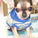 다나 동물병원 이미지