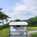 투그린(2GREEN) 이미지