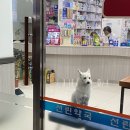 선린약국 이미지