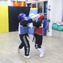 화랑합기도특공무술종합무술도장