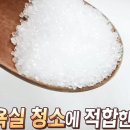 청소짱 이미지