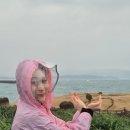 대만 예스지투어, 버스투어 후기