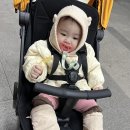 유모차카시트세탁뽀송 이미지