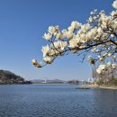 자연속힐링펜션 네이버블로그