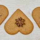 도담애견 이미지