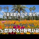 소노캄제주&신화역사공원 이미지