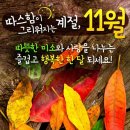 １１월 이미지