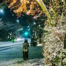 서울 첫눈 내리던 밤 - 청솔 이미지