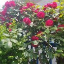 신복도서관 화장실 이미지