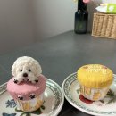 너만멍냥 이미지