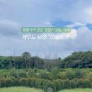 머들정원 이미지