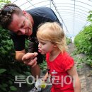 고창복분자