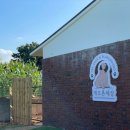 애견세상 이미지