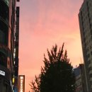 6-15 August. 뽀로로, 놀고만 싶어요