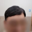 소피아헤어앤가발