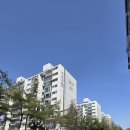 문정로-8 | 탄방동 짜장면 끝판왕 발견! 둔산돌짜장 솔직후기