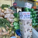 본량초교병설유치원 이미지