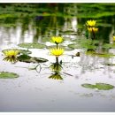 좋은인연 이미지