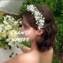 하진헤어아트 | 결혼준비 - (4) 대전 페레 스튜디오 후기